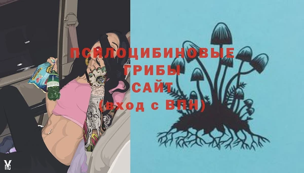 герыч Абинск