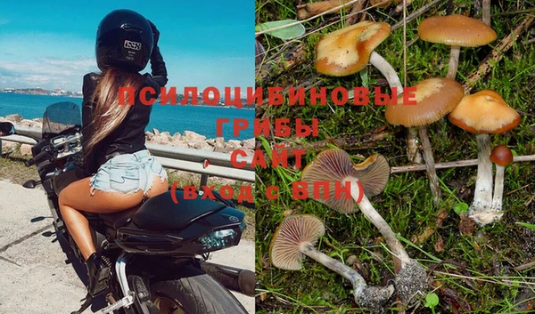 дмт Абдулино